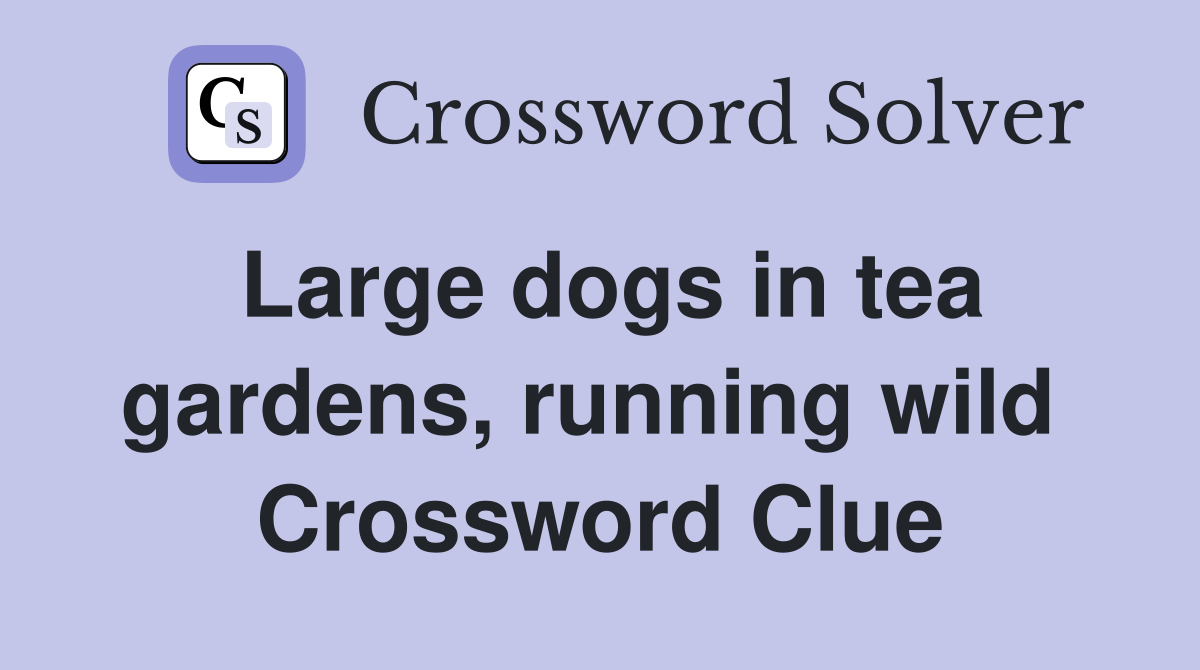 Large dogs in tea gardens, running wild  Crossword Clue