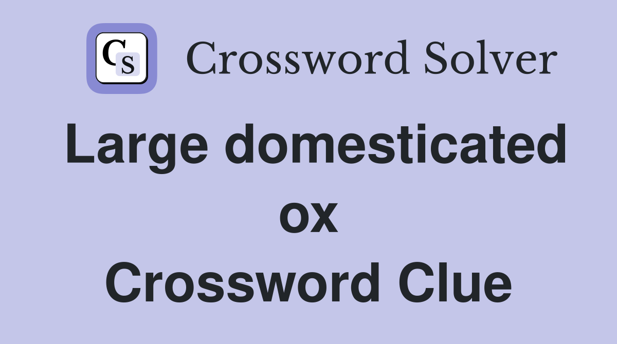 Large domesticated ox Crossword Clue