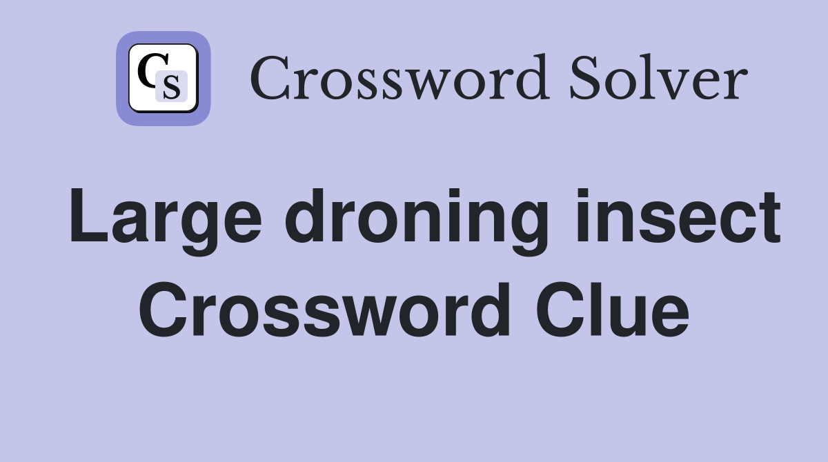 Large droning insect Crossword Clue