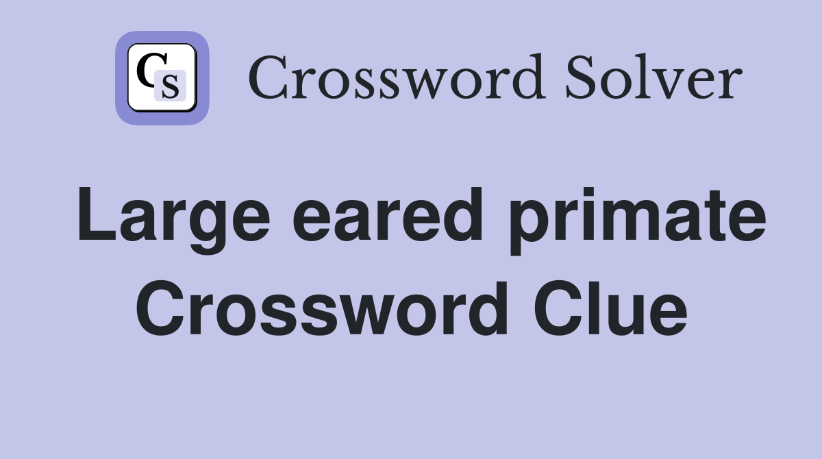 Large eared primate Crossword Clue