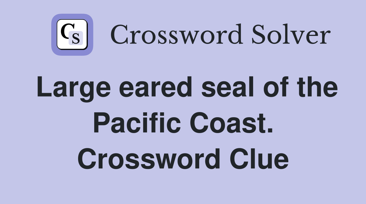 Large eared seal of the Pacific Coast. Crossword Clue
