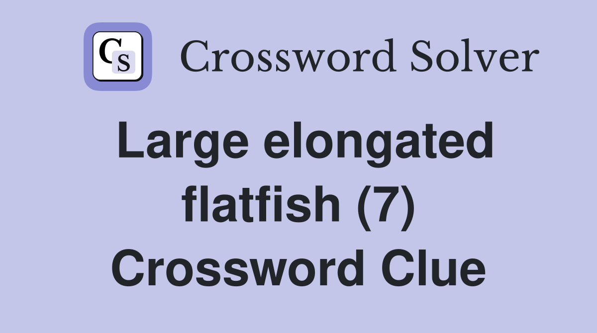 Large elongated flatfish (7) Crossword Clue