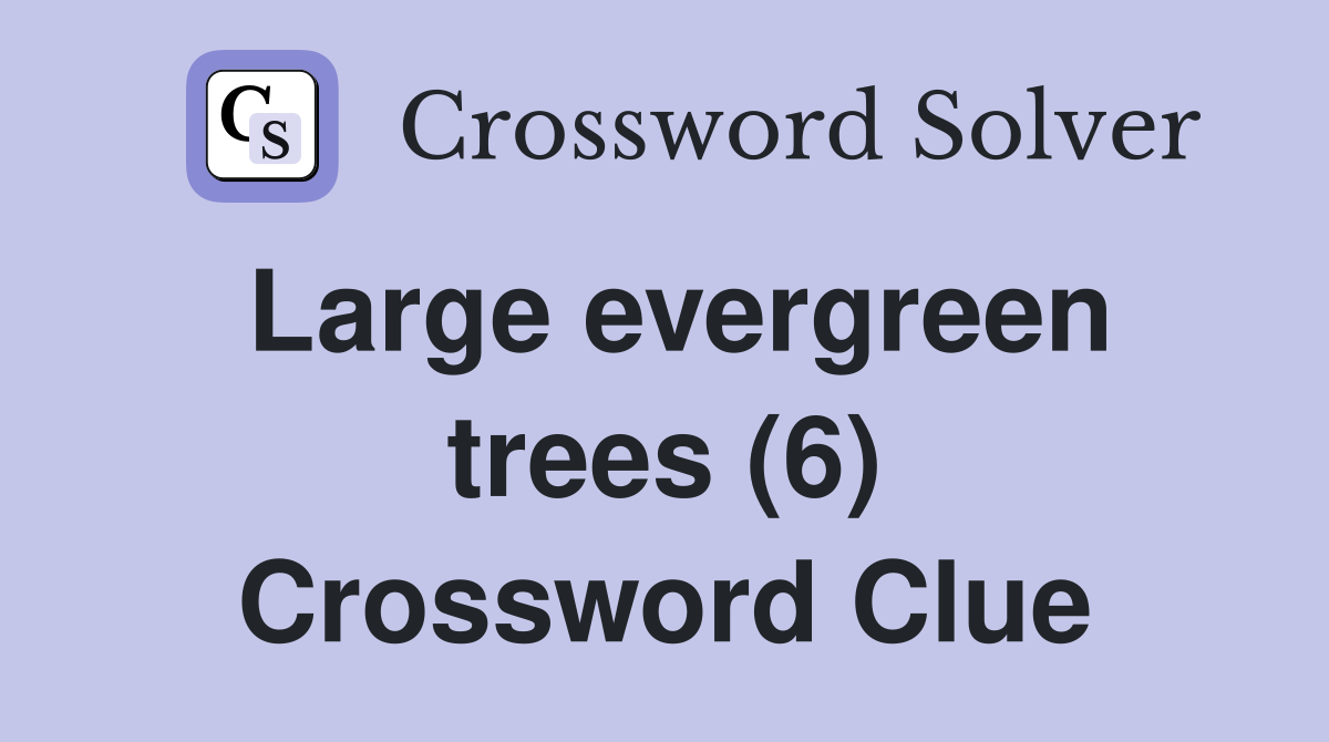 Large evergreen trees (6) Crossword Clue