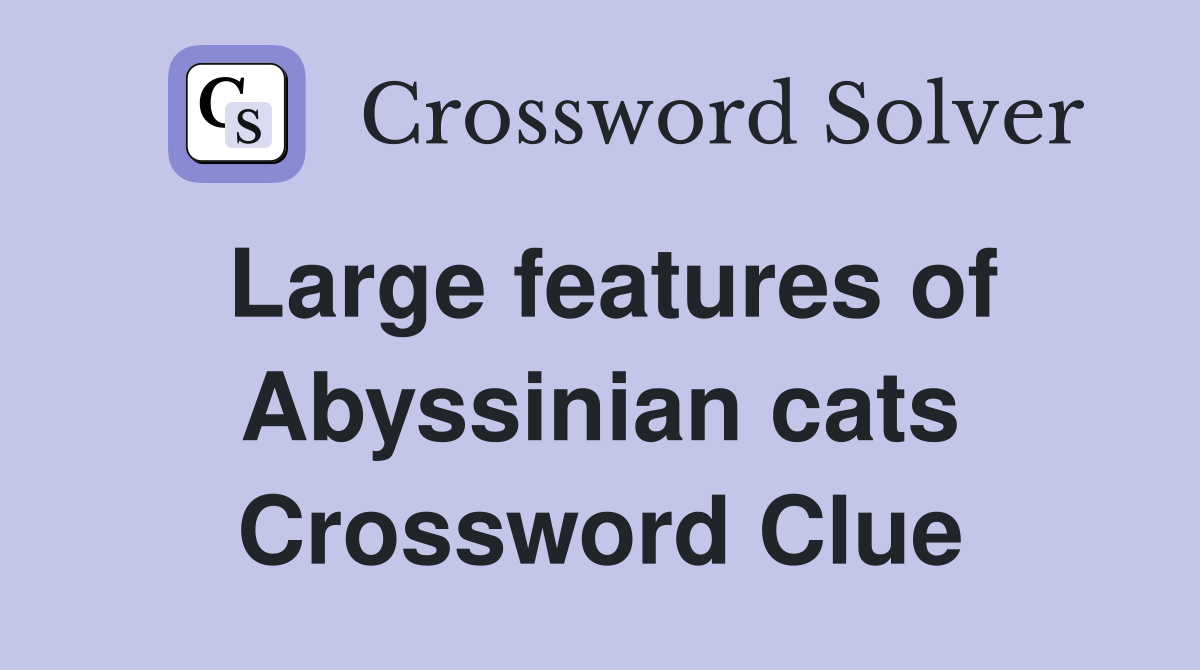 Large features of Abyssinian cats Crossword Clue