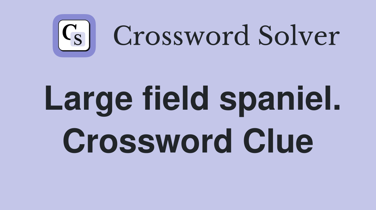 Large field spaniel. Crossword Clue