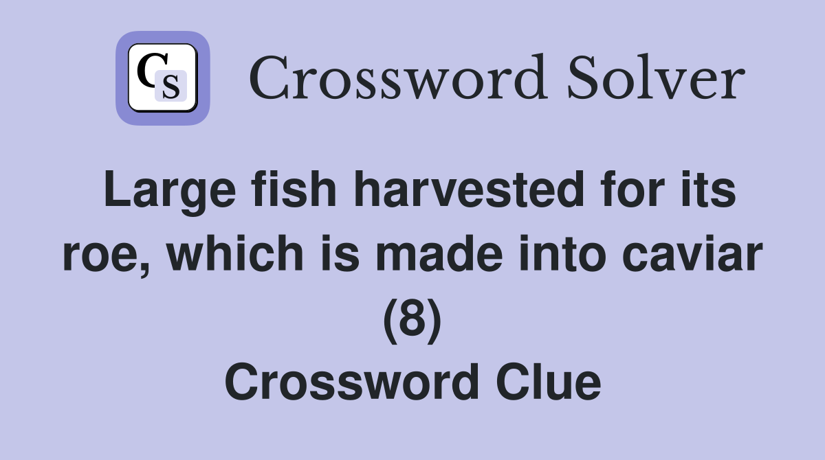 Large fish harvested for its roe, which is made into caviar (8) Crossword Clue