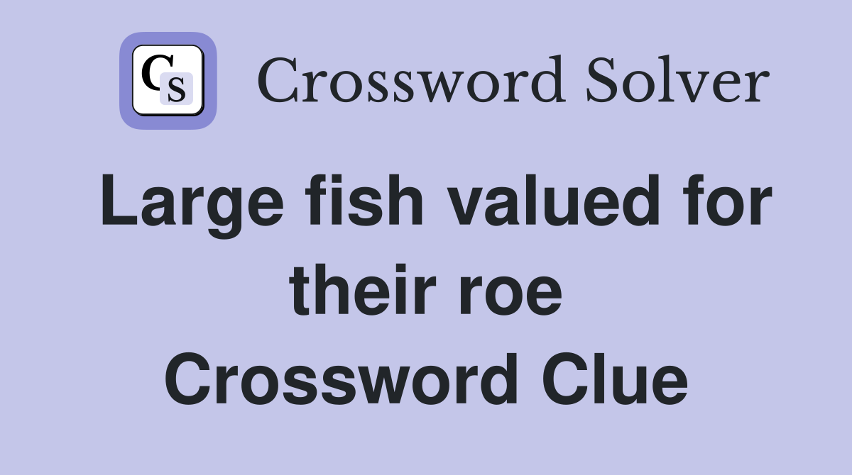Large fish valued for their roe Crossword Clue