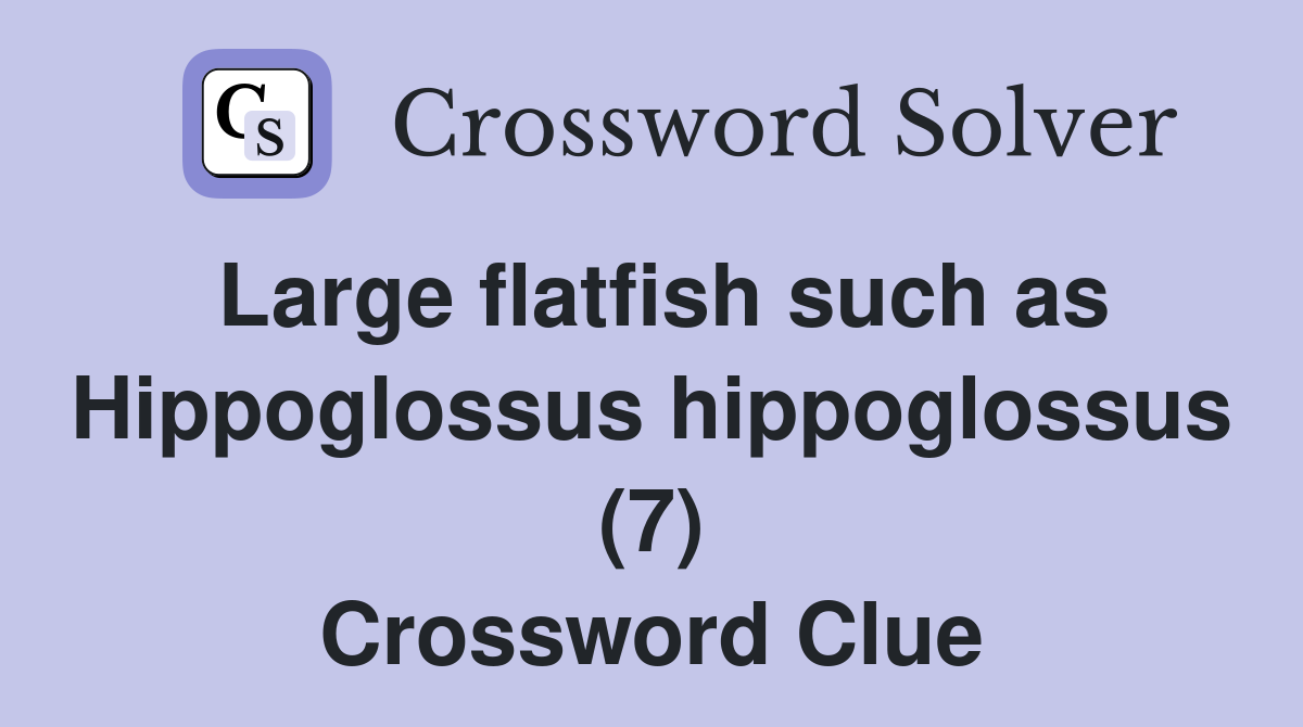 Large flatfish such as Hippoglossus hippoglossus (7) Crossword Clue