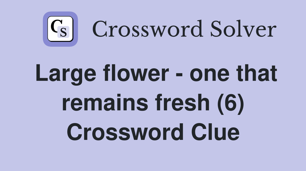Large flower - one that remains fresh (6) Crossword Clue