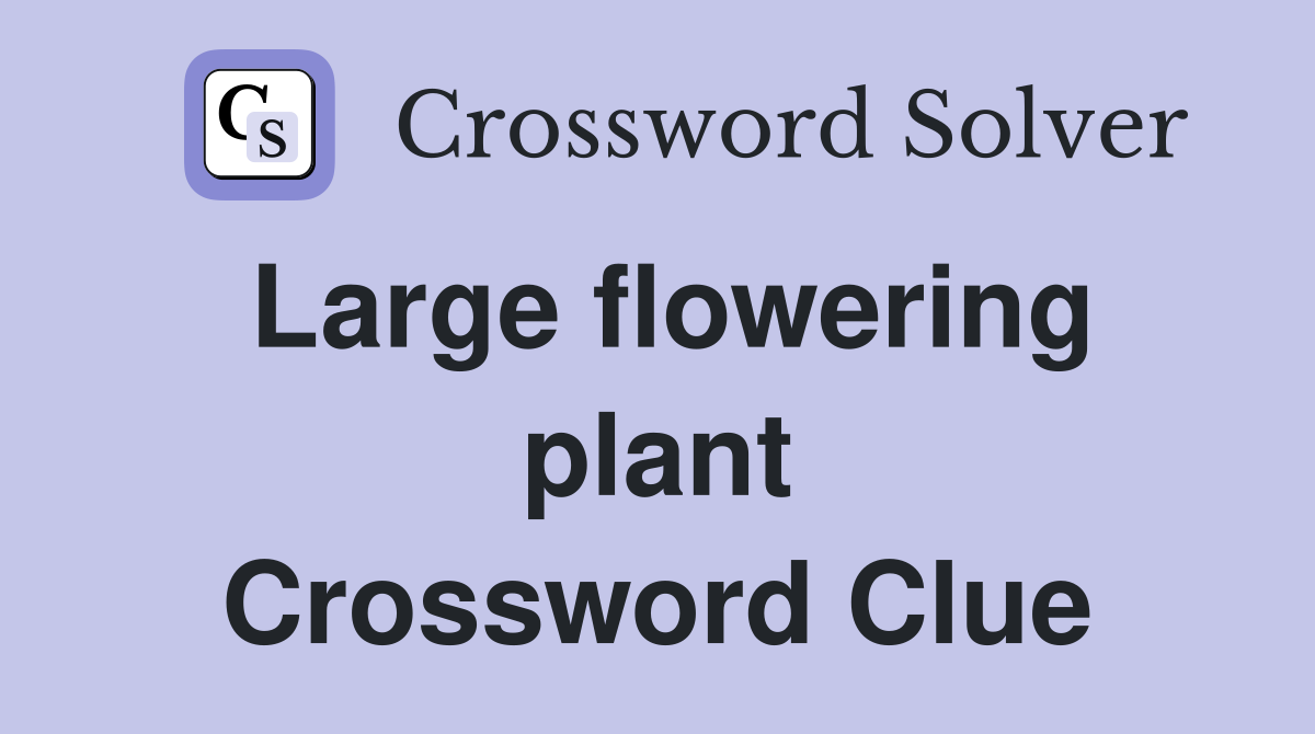 Large flowering plant Crossword Clue