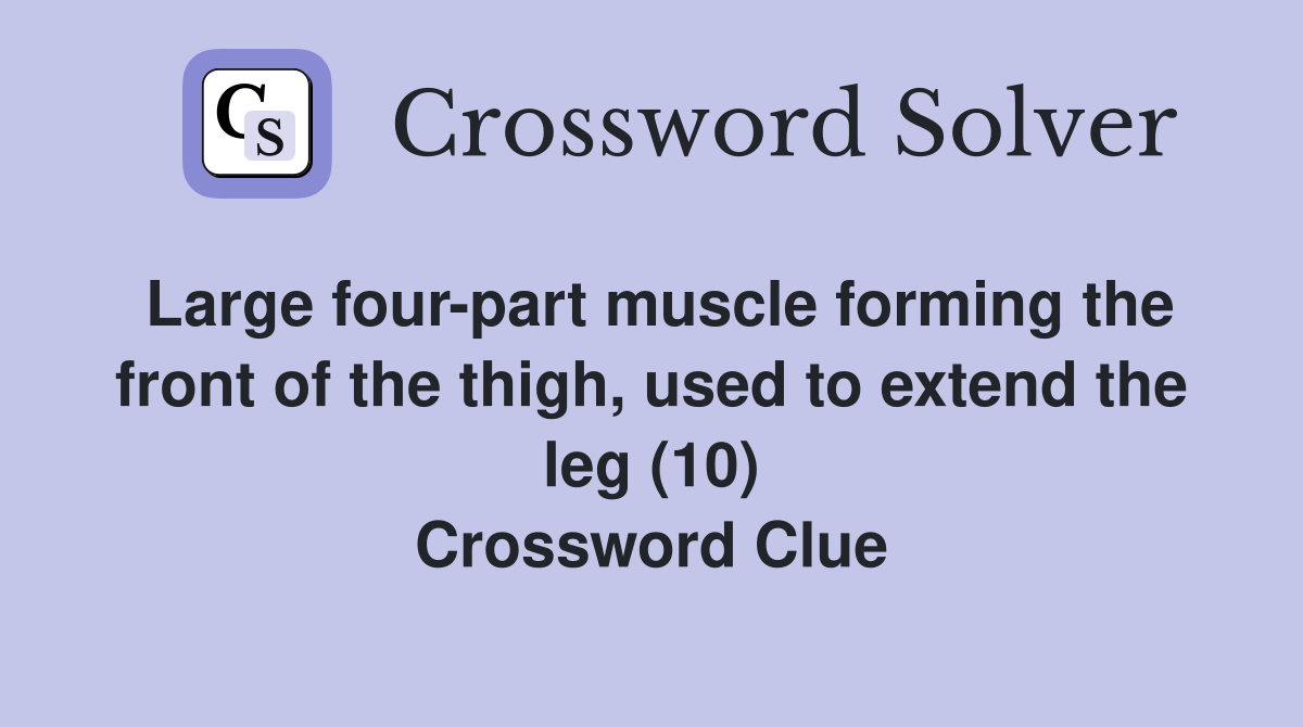 Large four-part muscle forming the front of the thigh, used to extend the leg (10) Crossword Clue