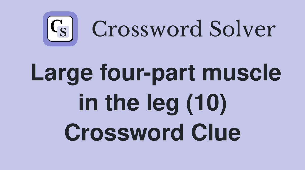 Large four-part muscle in the leg (10) Crossword Clue