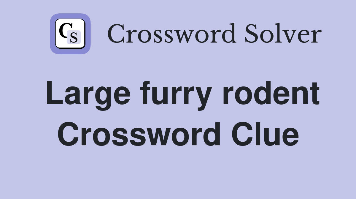 Large furry rodent Crossword Clue