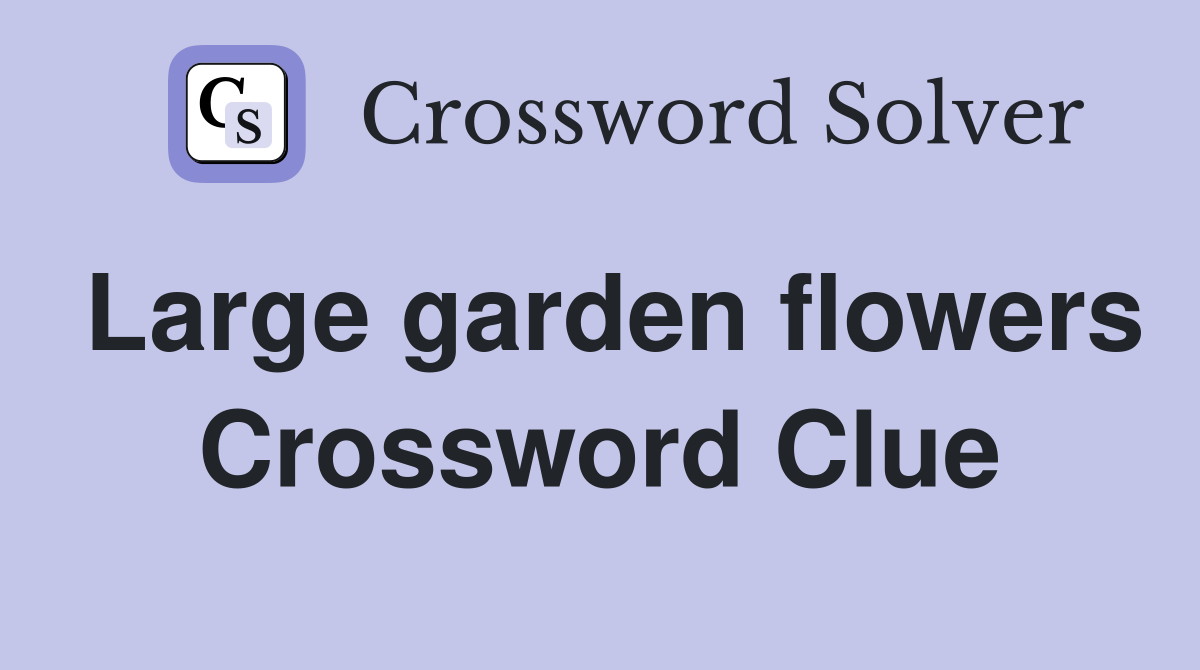 Large garden flowers Crossword Clue
