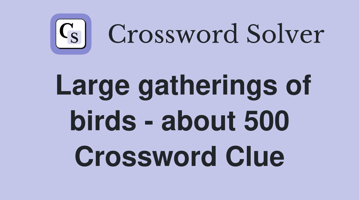 Large gatherings of birds - about 500 Crossword Clue