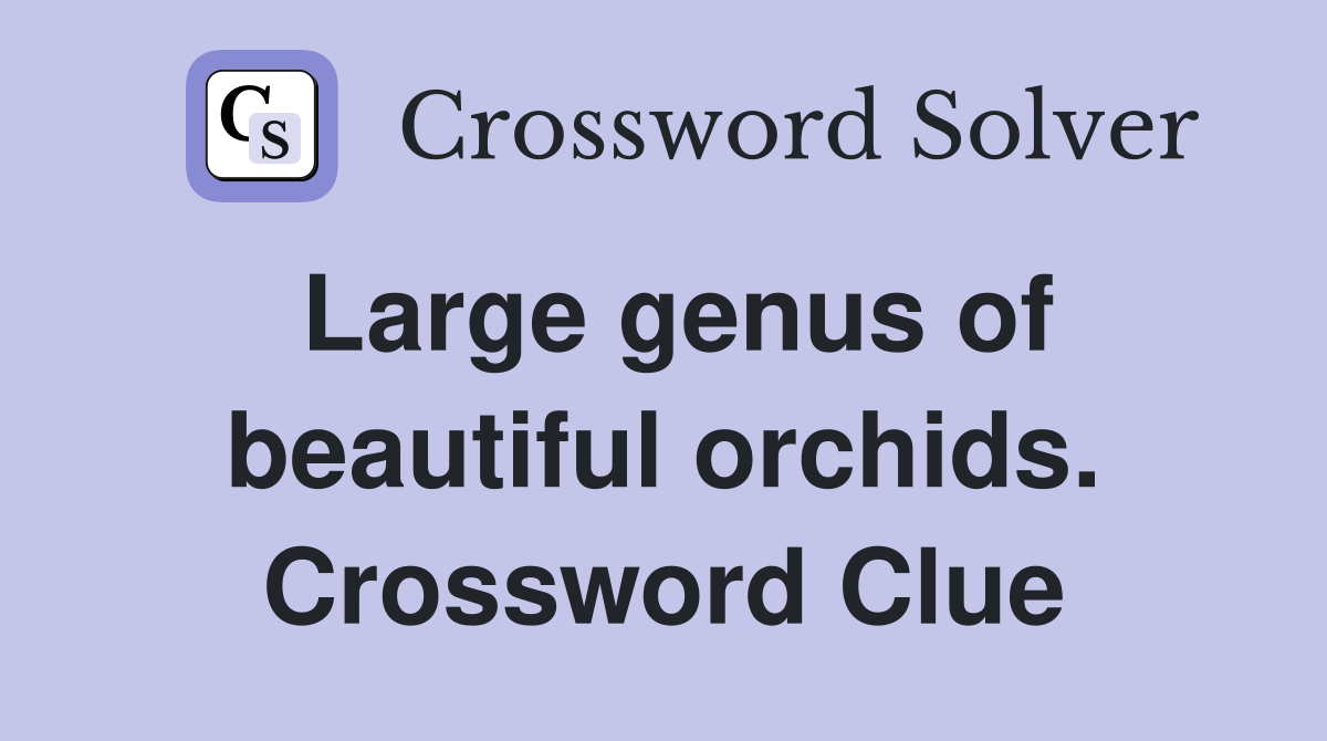 Large genus of beautiful orchids. Crossword Clue