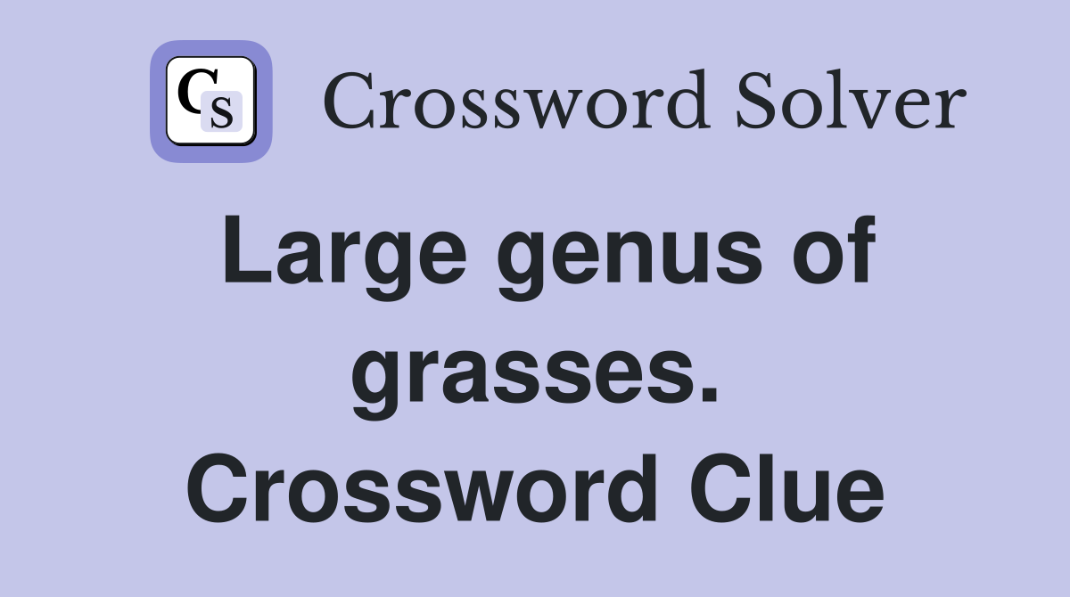 Large genus of grasses. Crossword Clue