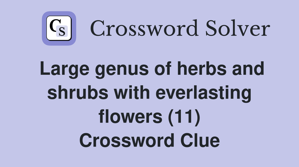 Large genus of herbs and shrubs with everlasting flowers (11) Crossword Clue