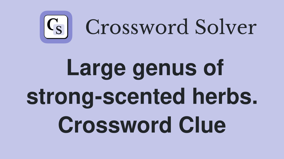 Large genus of strong-scented herbs. Crossword Clue