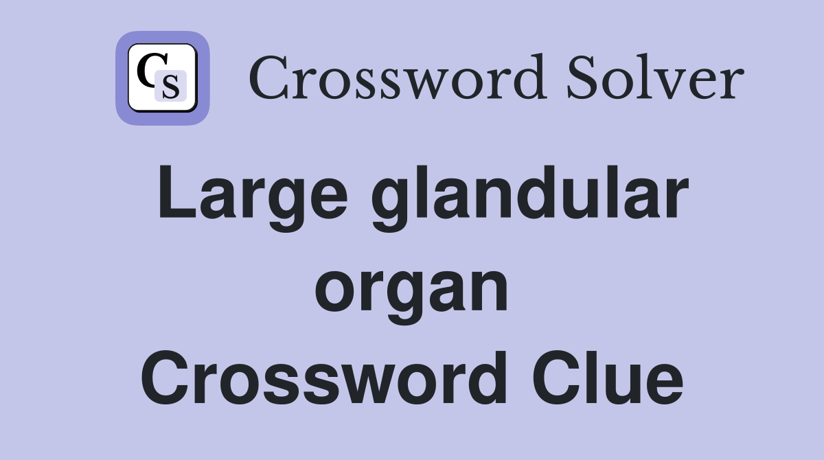 Large glandular organ Crossword Clue