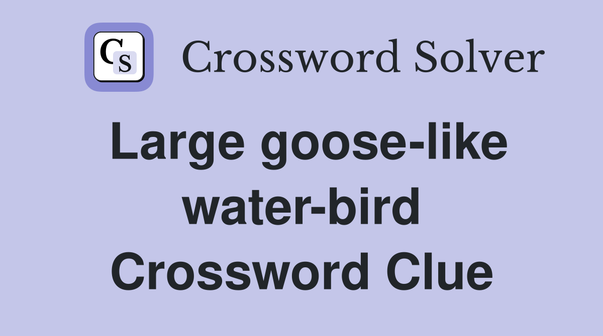 Large goose-like water-bird Crossword Clue