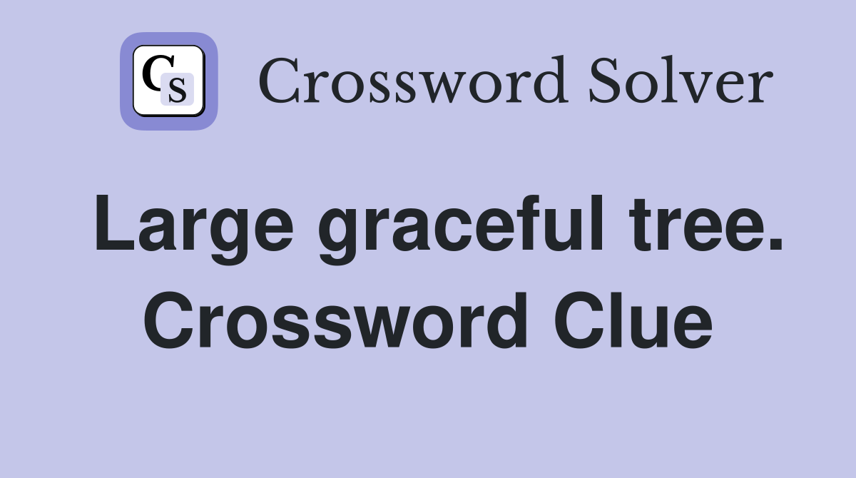 Large graceful tree. Crossword Clue