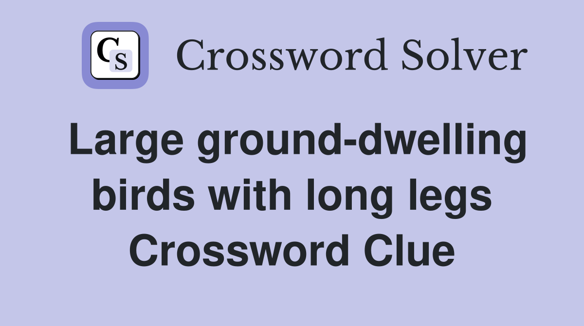 Large ground-dwelling birds with long legs Crossword Clue