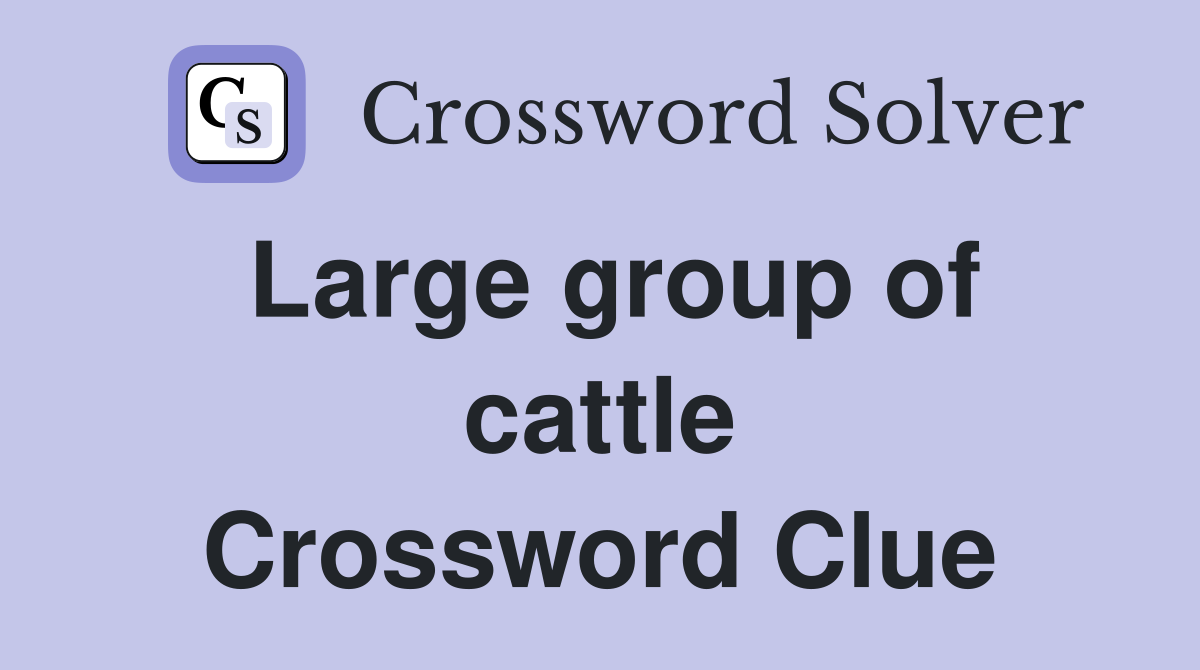 Large group of cattle Crossword Clue