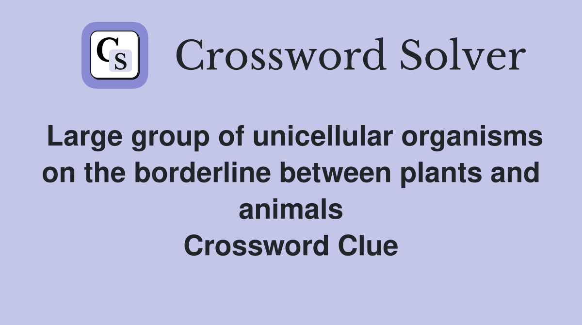 Large group of unicellular organisms on the borderline between plants and animals Crossword Clue