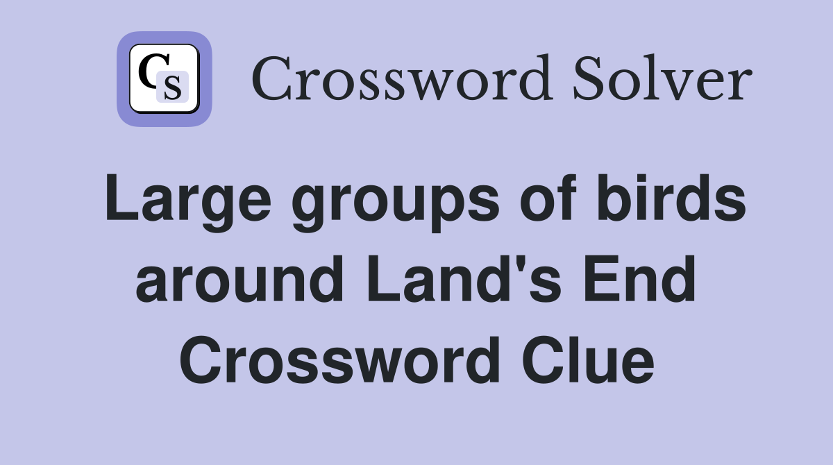 Large groups of birds around Land's End Crossword Clue