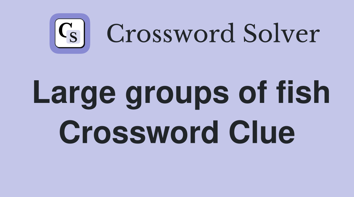 Large groups of fish Crossword Clue