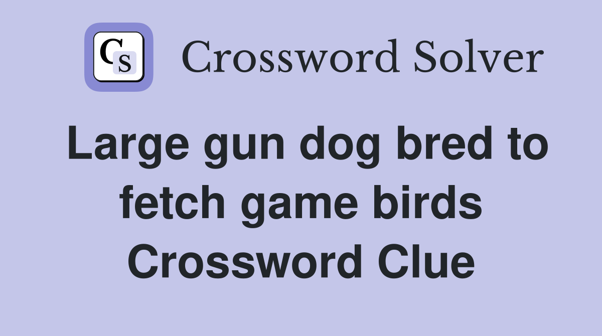 Large gun dog bred to fetch game birds Crossword Clue