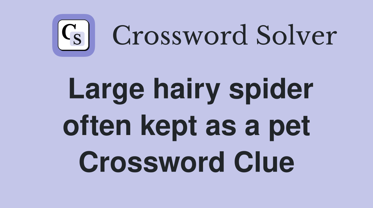 Large hairy spider often kept as a pet Crossword Clue