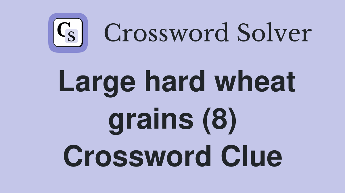 Large hard wheat grains (8) Crossword Clue