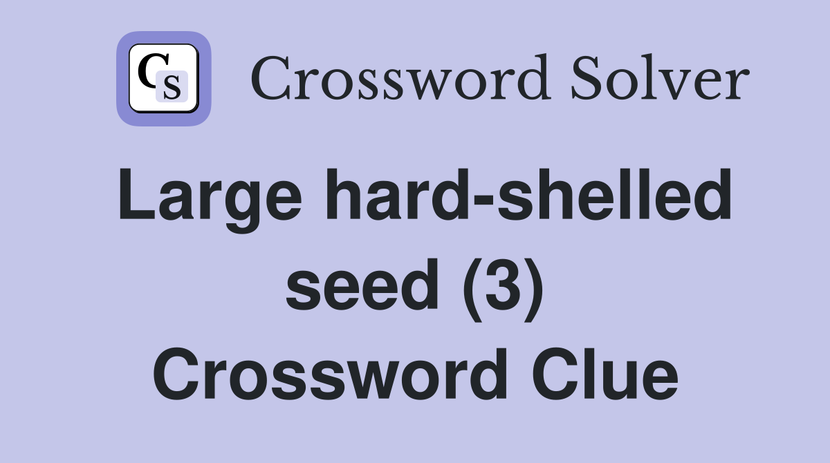 Large hard-shelled seed (3) Crossword Clue
