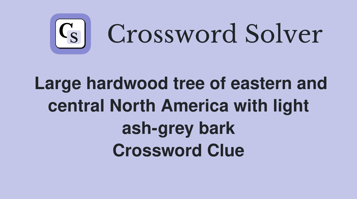 Large hardwood tree of eastern and central North America with light ash-grey bark Crossword Clue
