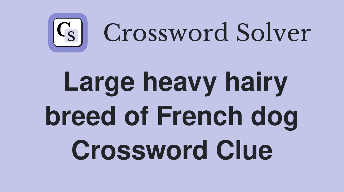 Large heavy hairy breed of French dog Crossword Clue