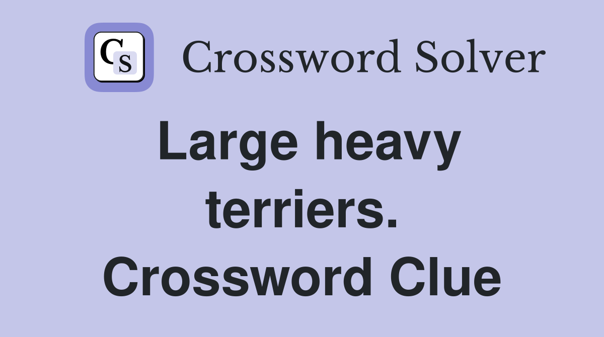 Large heavy terriers. Crossword Clue