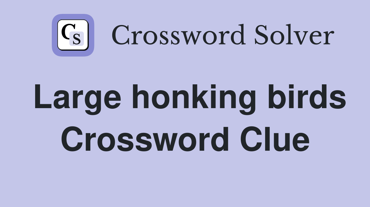 Large honking birds Crossword Clue