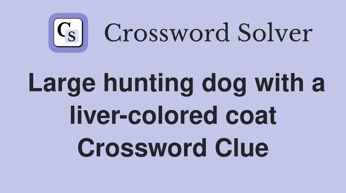 Large hunting dog with a liver-colored coat Crossword Clue