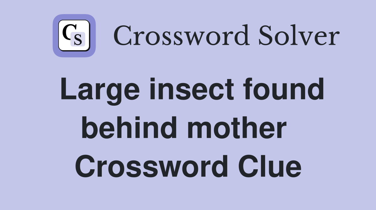 Large insect found behind mother  Crossword Clue