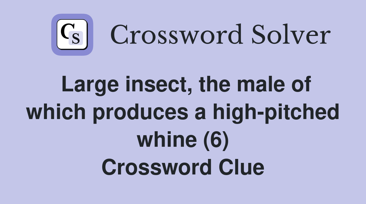 Large insect, the male of which produces a high-pitched whine (6) Crossword Clue