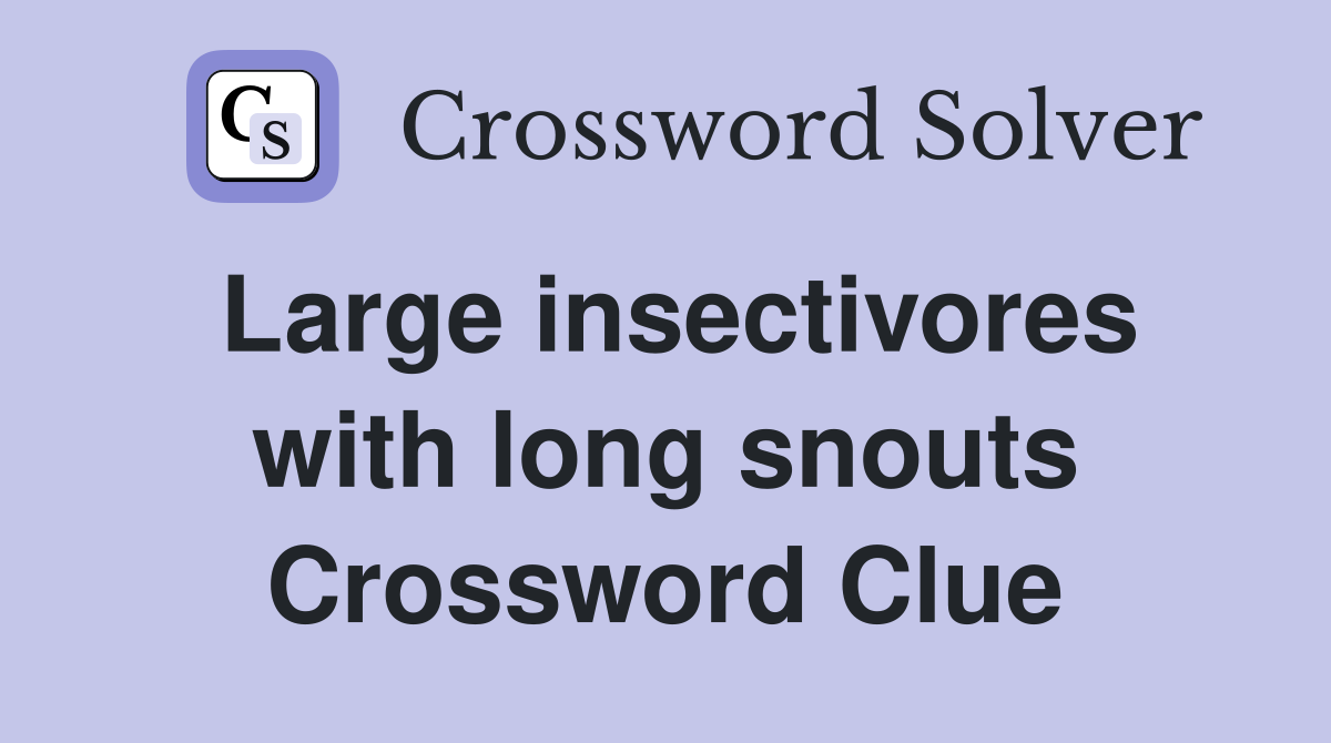 Large insectivores with long snouts Crossword Clue