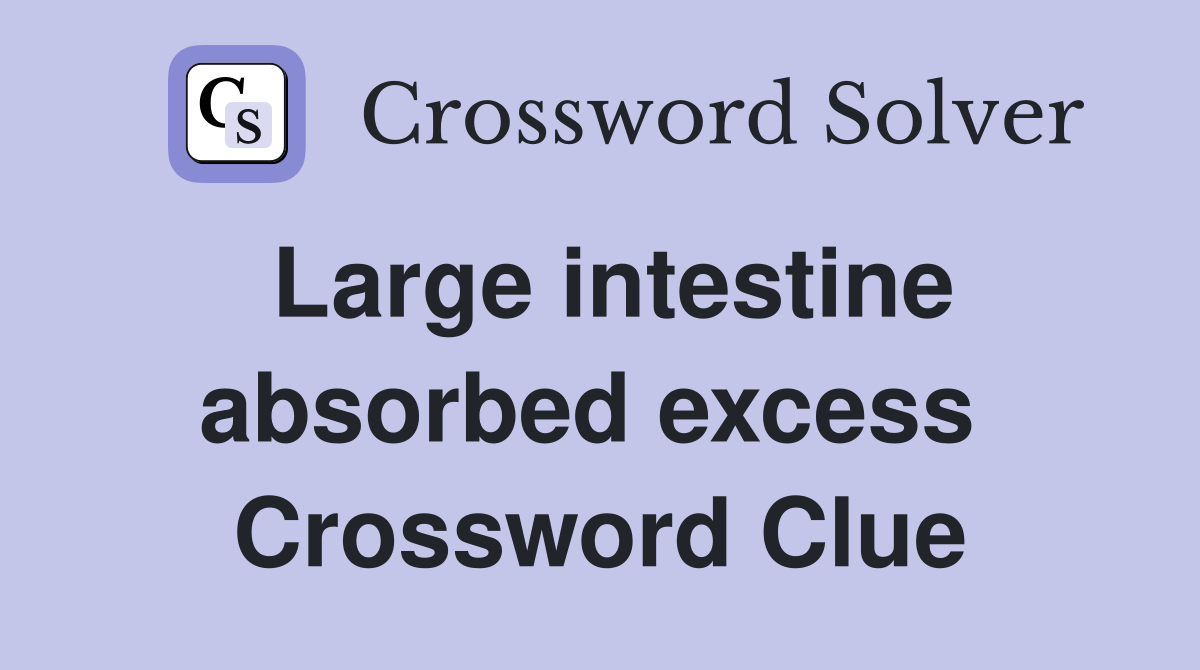 Large intestine absorbed excess  Crossword Clue