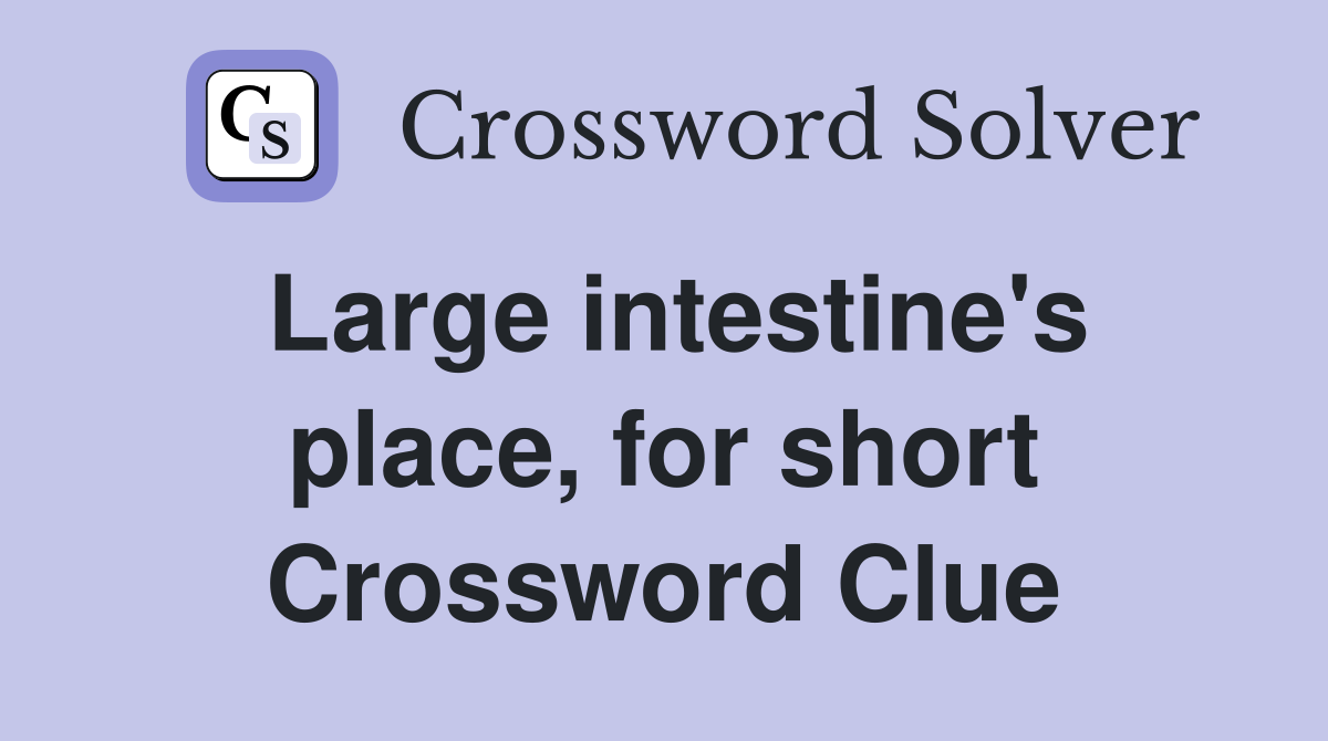 Large intestine's place, for short Crossword Clue