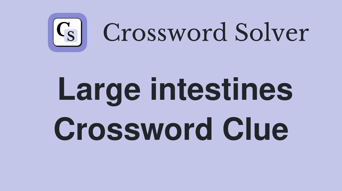 Large intestines Crossword Clue