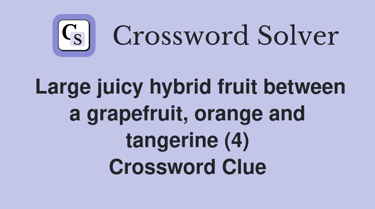 Large juicy hybrid fruit between a grapefruit, orange and tangerine (4) Crossword Clue
