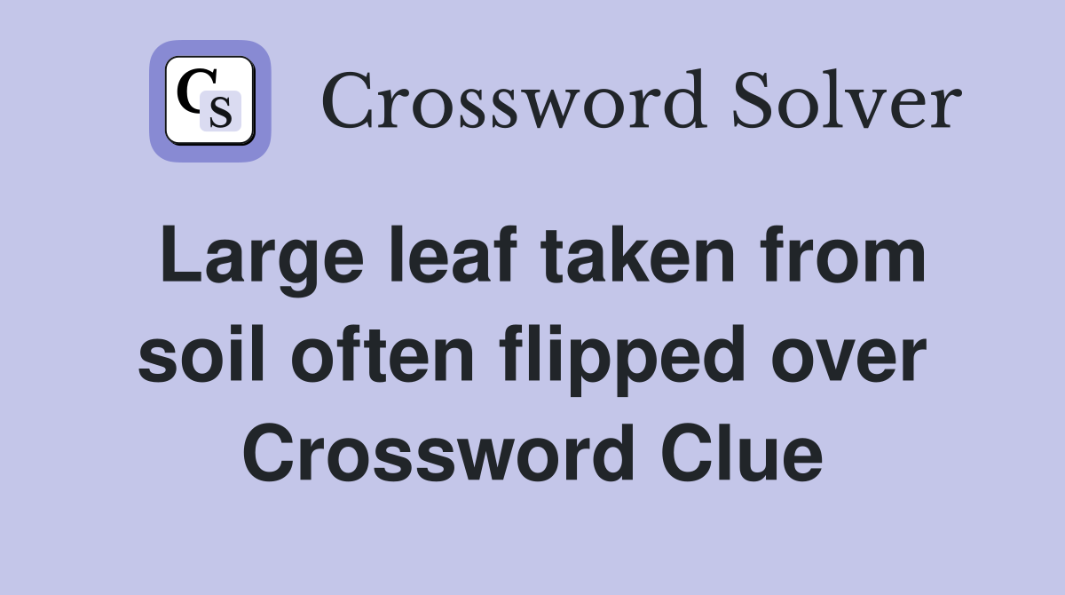 Large leaf taken from soil often flipped over Crossword Clue
