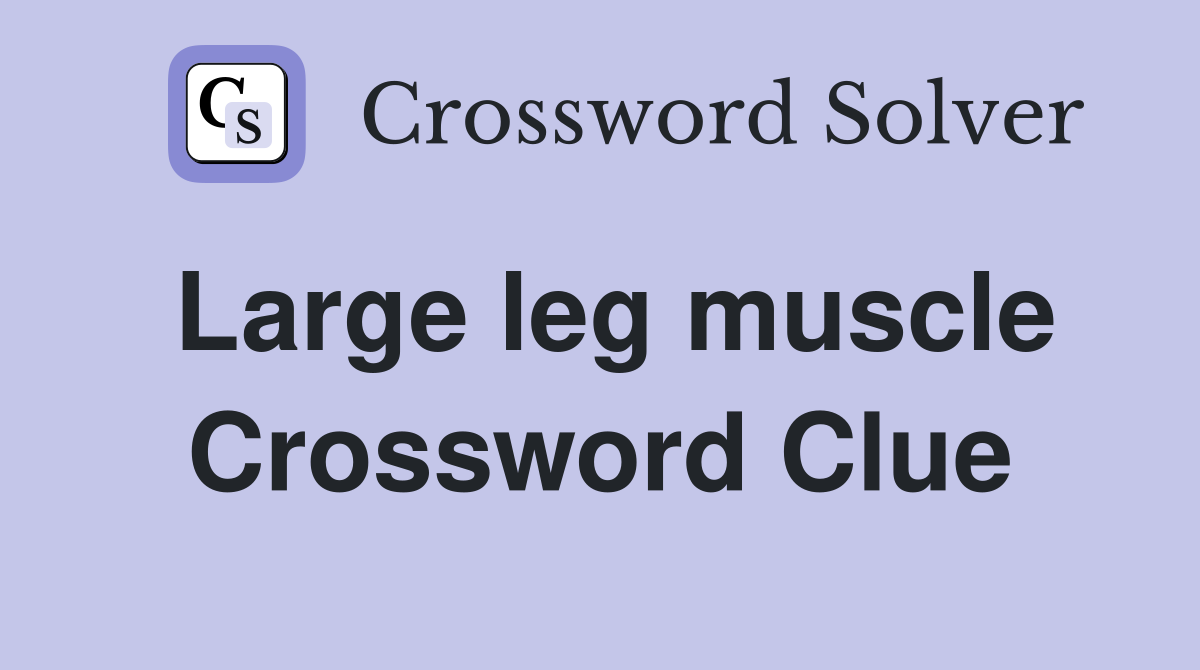 Large leg muscle Crossword Clue
