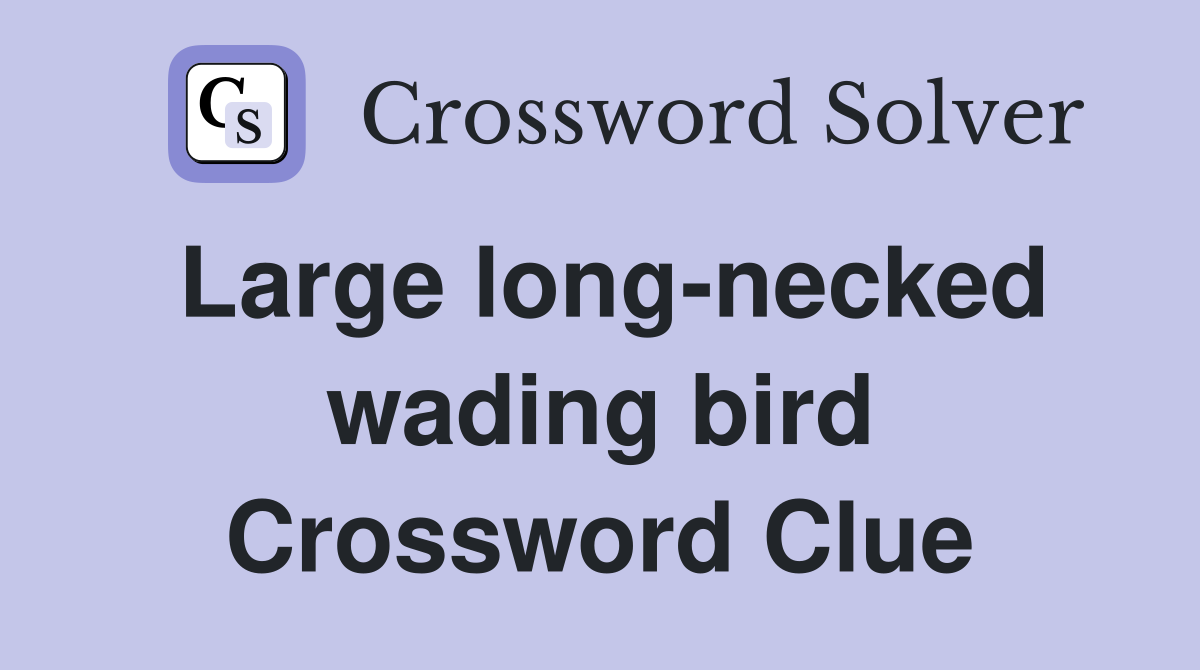 Large long-necked wading bird Crossword Clue